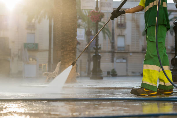 Best Gutter Cleaning  in Lackawanna, NY